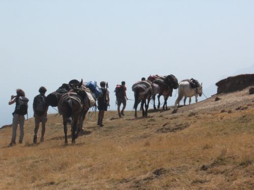 trekking con i muli-80.JPG